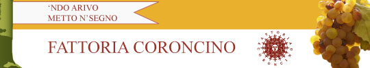 shot of the coroncino website - click to launch